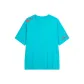 Aqua Green