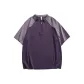 Gray Purple Red