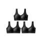 3 Pack (Black)