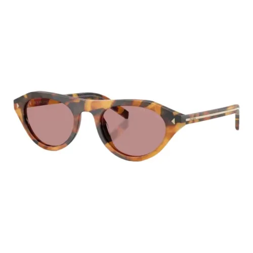 PRADA Acetate Cat Eye Sunglasses Women's Tortoiseshell
