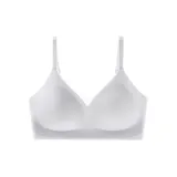1 Pack (Premium Gray)