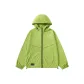 Neon Green