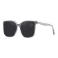 Transparent Gray Lens (Standard Lens)