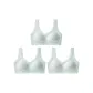 3 Pack (Mint Green)