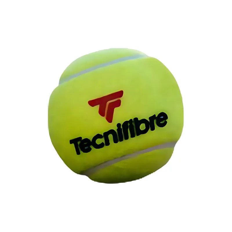 TECNIFIBRE Tennis Balls Training Ball Yellow-2