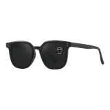 Black Frame with Gray Lens (Standard Lens)