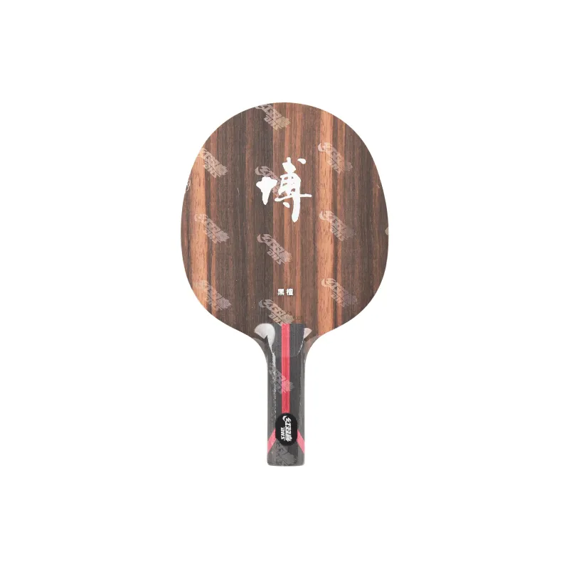 DHS Ping Pong Paddles-2