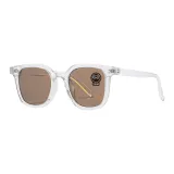 Transparent Frame with Standard Lens