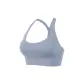 Rhinoceros Gray