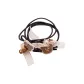 Ribbon Bear Head Korean Style Hair Tie 1 Pack (Dark Brown)