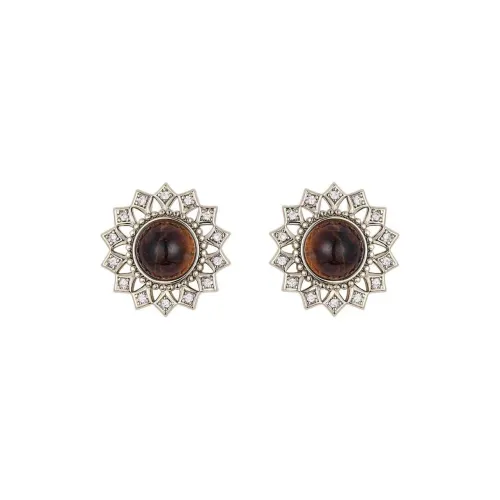 BLINK DAY Tiger's Eye Stone Stud Earrings Women's