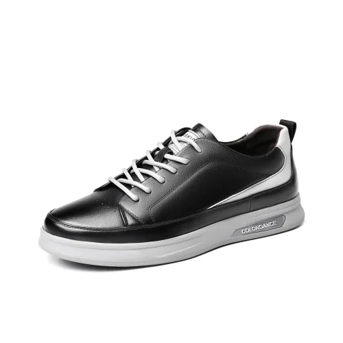 Captain Illy Low Top Skateboard Shoes Men's
