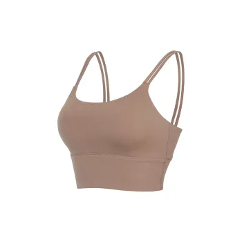 Bebe Women's Bras