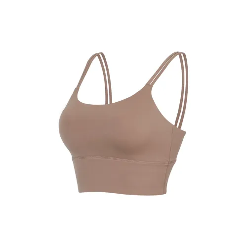 Bebe Women's Bras