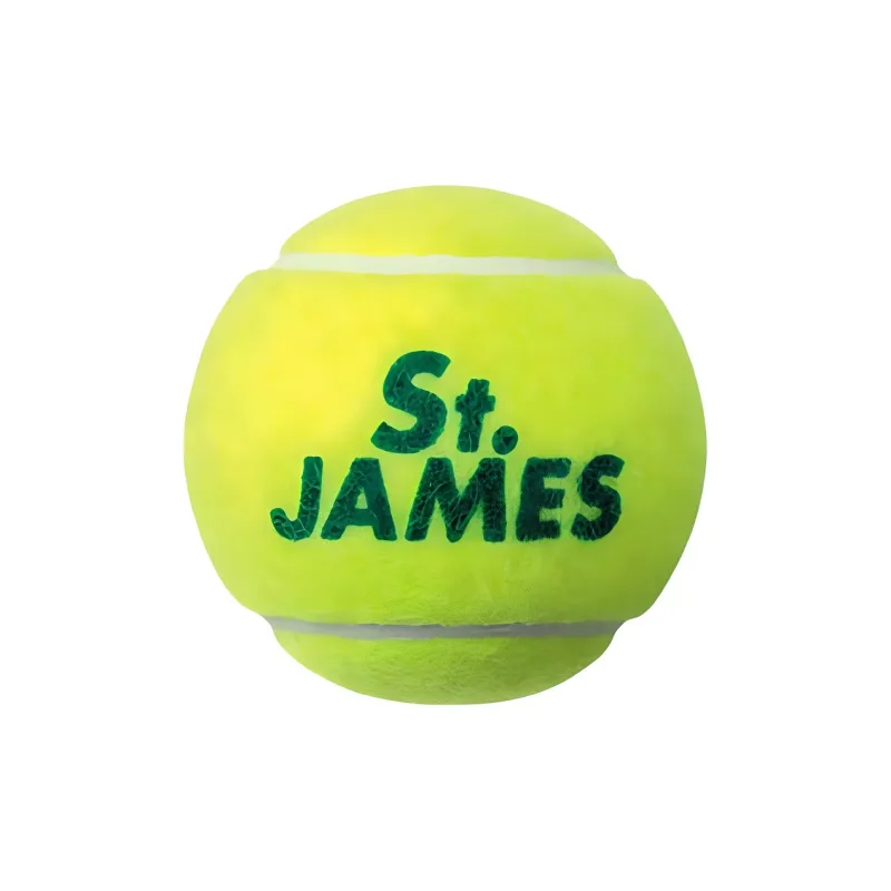 DUNLOP Tennis Balls Training Ball Yellow-1