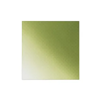 GUCCI Cotton Fabric Silk Scarves Men's Green