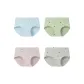 Elegant Blue+Elegant Green+Elegant Purple+Light Gray