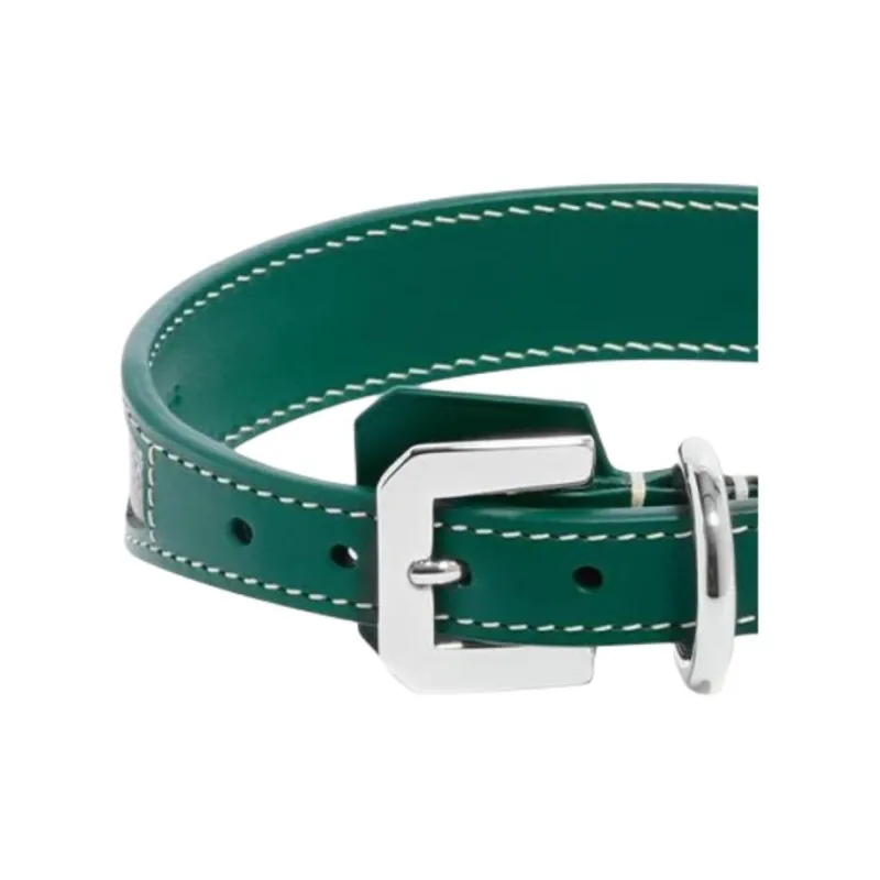 GOYARD Goyardine Canvas With Clamecy Cow Leather Dog's Teeth Collar Bag Accessory Unisex Green-2