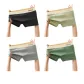 Black+Card Green+Dark Gray+Wood Green
