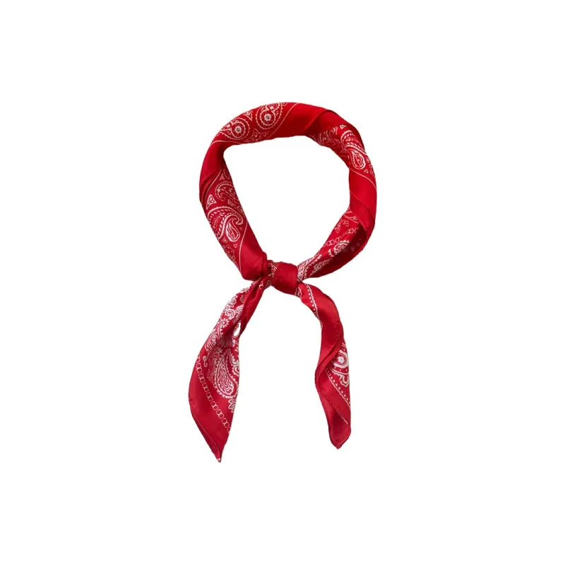 Classmate Yang Silk Scarves Women's-6
