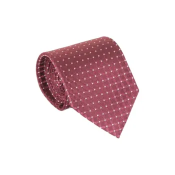 Isaia Polka dot Tie