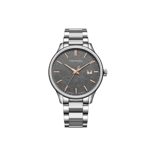 TIANWANG Kunlun Mechanical Movement Stainless Steel Strap Watch Men's Watches Gray Dial