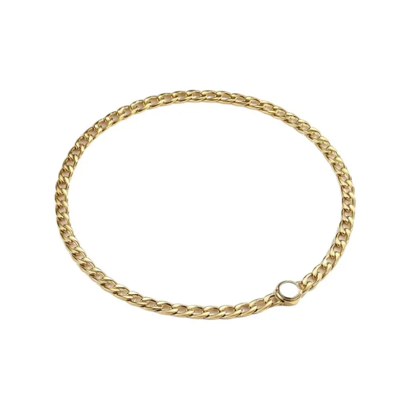 BROSWAY Titanium Steel Necklaces Men's Gold-1