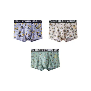 ROBINHOOD Underpants Men's 3 Pack