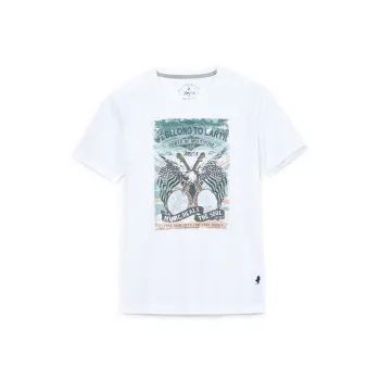 MCS T Shirts Men