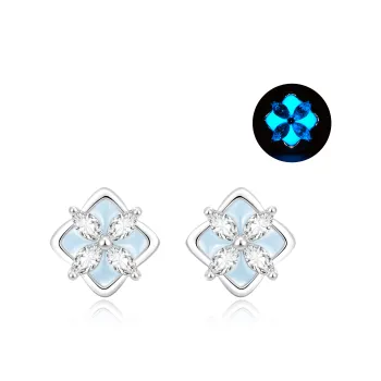 ZSY Silver 925 Stud Earrings Women's Box