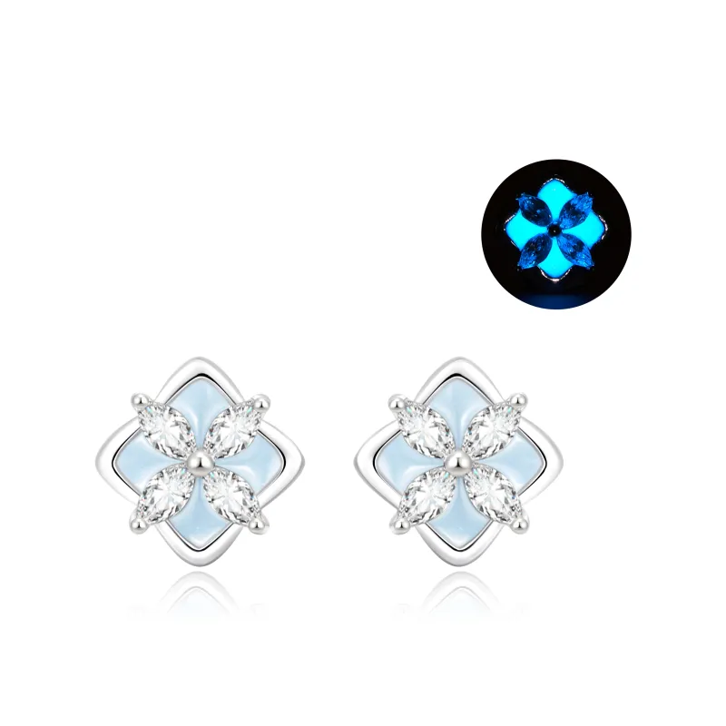 ZSY Silver 925 Stud Earrings Women's Box-0