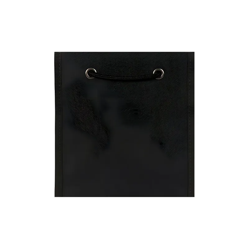 Balenciaga Explorer Pouch Black-4