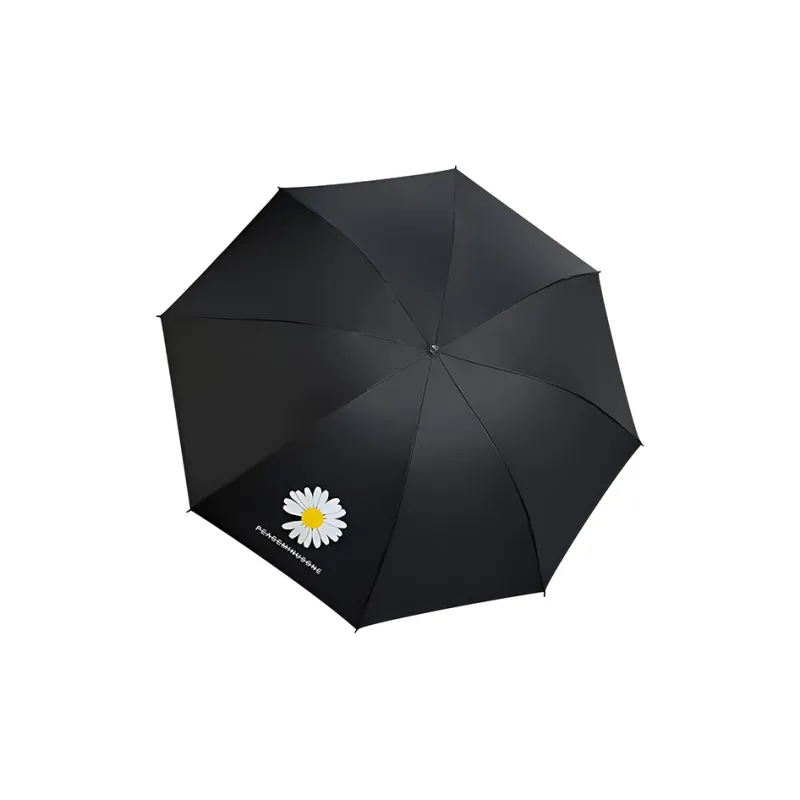A good thing Umbrellas-4