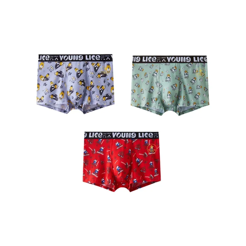ROBINHOOD Underpants Men's 3 Pack-6