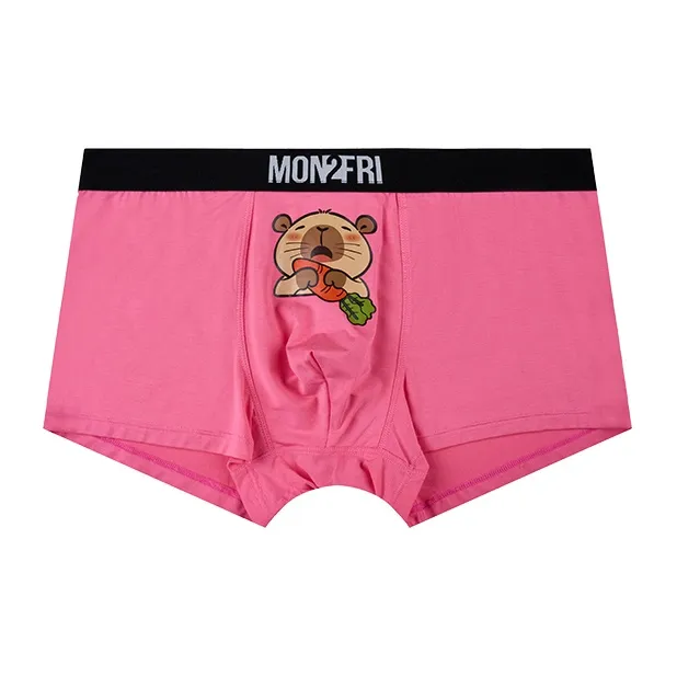 Mon 2 Fri Underpants Men's 1 Pack-2
