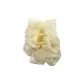 Elegance Vintage Minimalist Style Gauze Claw Clip 1 Pc (Beige)