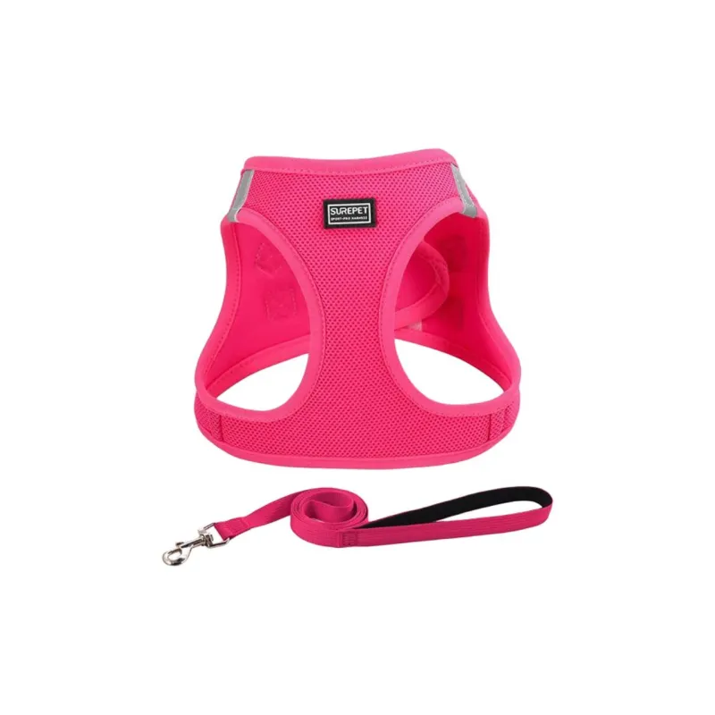 BURNSNOW Leashes-3