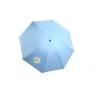 Small Daisy-Sky Blue