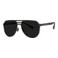 BL8123C10 Polarized[Small Size]
