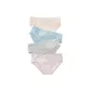 Cameo Brown+Smoke Gray+Gray Blue+Light Pink