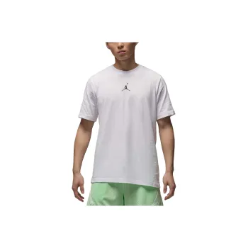 JORDAN Sport Men's Dri FIT T Shirt