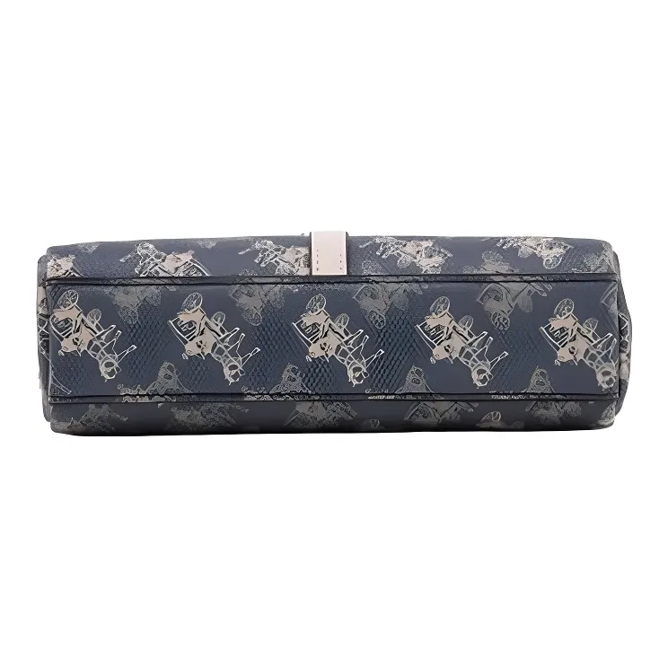 PESASRIE PVC Wallet, Clutch, Crossbody Bag Regular Women's Ecru/Coffee-2
