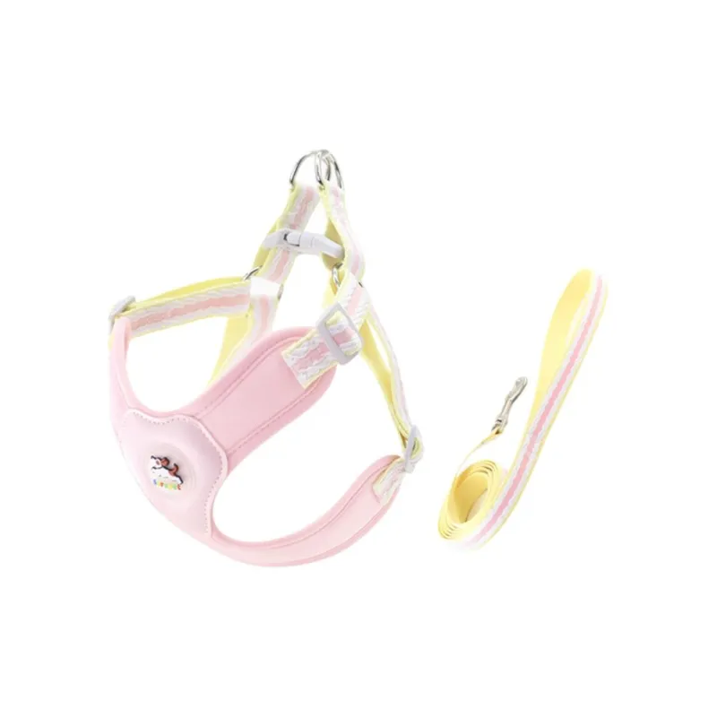 BURNSNOW Leashes-2
