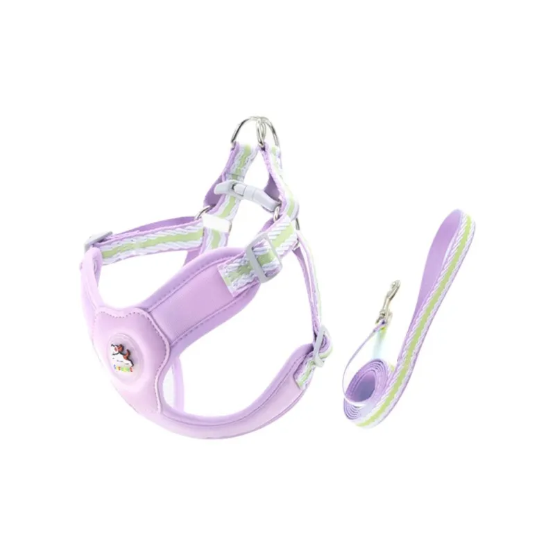BURNSNOW Leashes-1