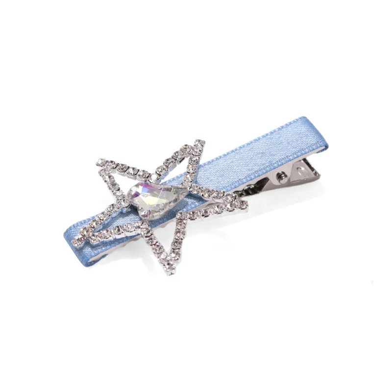 ZANC Hair Clips Women's-3