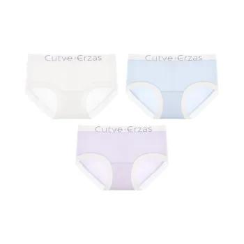 2323 Women's Underpants