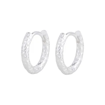 JINLUWANG S925 Silver Earrings Women's
