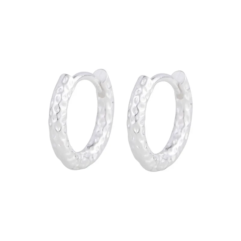 JINLUWANG S925 Silver Earrings Women's-0