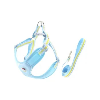 BURNSNOW Leashes