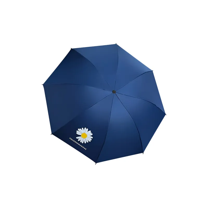 A good thing Umbrellas-3